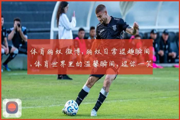 体育狗奴 微博,狗奴日常逗趣瞬间,体育世界里的温馨瞬间,逗你一笑逗逗乐