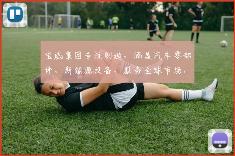 宝威集团专注制造，涵盖汽车零部件、新能源设备，服务全球市场，品质卓越。