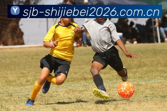 世界杯2026平台生态图